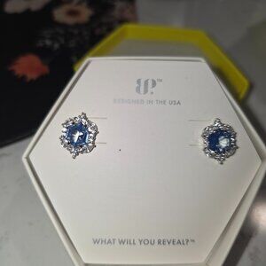 Incredible Sparkle Earrings BP RBP8212